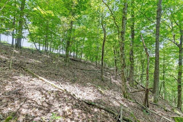 0 Preservation Dr Unit 29, South Pittsburg, TN 37380 - photo 30