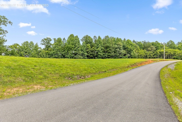 0 Preservation Dr Unit 29, South Pittsburg, TN 37380 - photo 22
