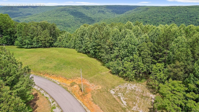 0 Preservation Dr Unit 29, South Pittsburg, TN 37380 - photo 2