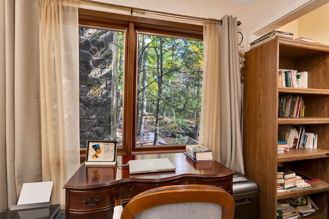 401 Mcfarland Rd Unit 3, Lookout Mountain, GA 30750 - office with healthy amount of natural light