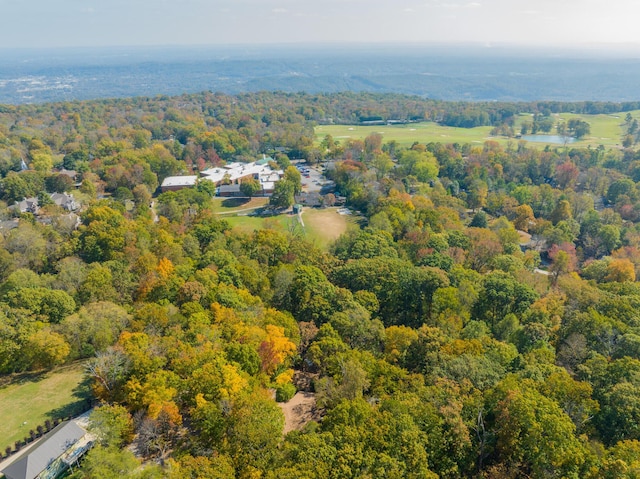 401 Mcfarland Rd Unit 3, Lookout Mountain, GA 30750 - aerial view of property's location with a heavily wooded area