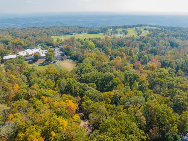 401 Mcfarland Rd Unit 3, Lookout Mountain, GA 30750 - bird's eye view of a heavily wooded area