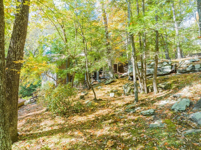 401 Mcfarland Rd Unit 3, Lookout Mountain, GA 30750 - view of yard featuring a view of trees