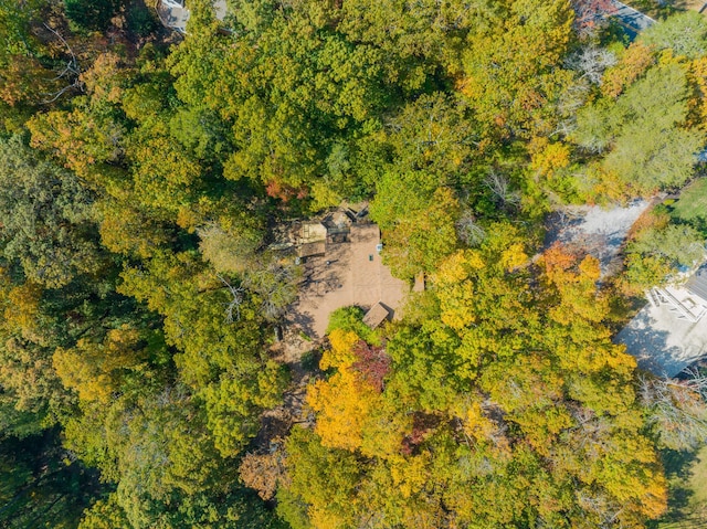 401 Mcfarland Rd Unit 3, Lookout Mountain, GA 30750 - drone / aerial view