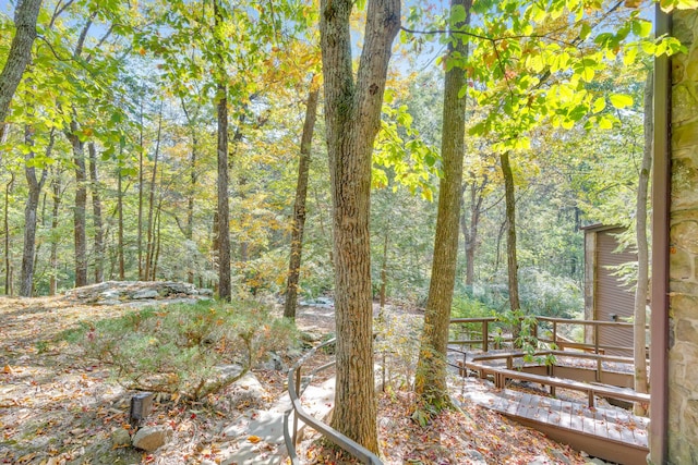 401 Mcfarland Rd Unit 3, Lookout Mountain, GA 30750 - view of nature