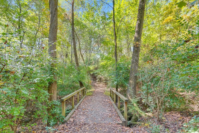 401 Mcfarland Rd Unit 3, Lookout Mountain, GA 30750 - view of home's community with a view of trees