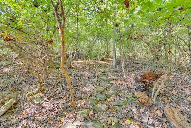 401 Mcfarland Rd Unit 3, Lookout Mountain, GA 30750 - view of undeveloped land