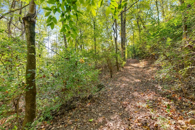401 Mcfarland Rd Unit 3, Lookout Mountain, GA 30750 - view of tree filled area