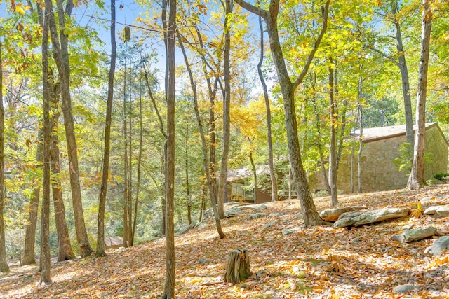 401 Mcfarland Rd Unit 3, Lookout Mountain, GA 30750 - view of nature