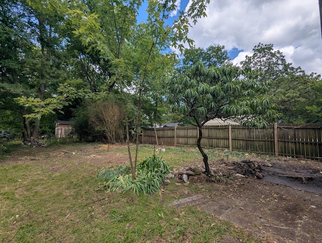 2307 E 35th St, Chattanooga, TN 37407 - view of yard