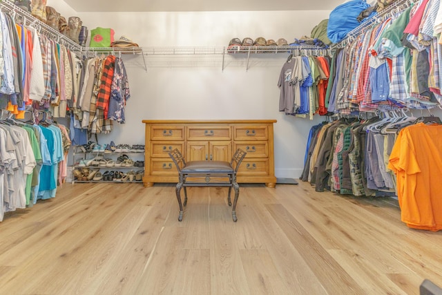 508 Chattanooga Rd, Cohutta, GA 30710 - walk in closet featuring light wood-style floors