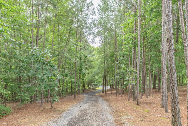 508 Chattanooga Rd, Cohutta, GA 30710 - view of dirt / gravel road featuring a forest view