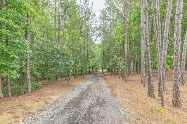 508 Chattanooga Rd, Cohutta, GA 30710 - view of dirt / gravel road