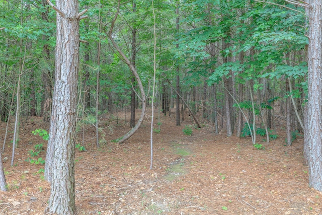 508 Chattanooga Rd, Cohutta, GA 30710 - view of woods