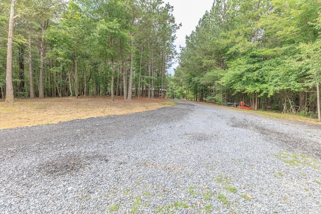 508 Chattanooga Rd, Cohutta, GA 30710 - view of road with a wooded view