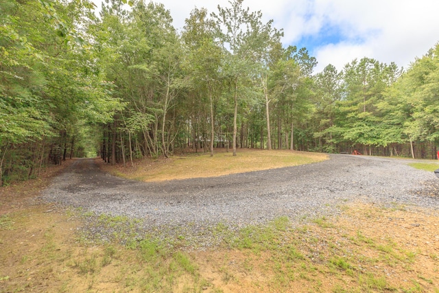 508 Chattanooga Rd, Cohutta, GA 30710 - view of dirt / gravel road with a view of trees