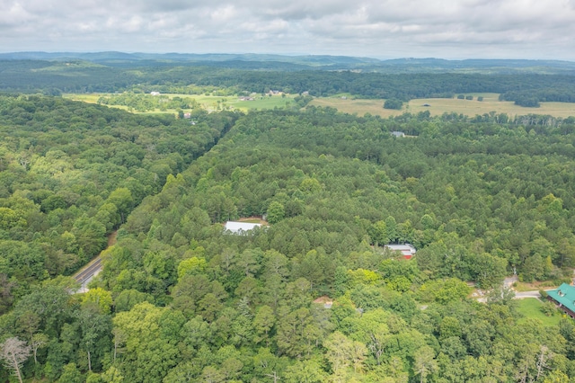508 Chattanooga Rd, Cohutta, GA 30710 - bird's eye view of a forest