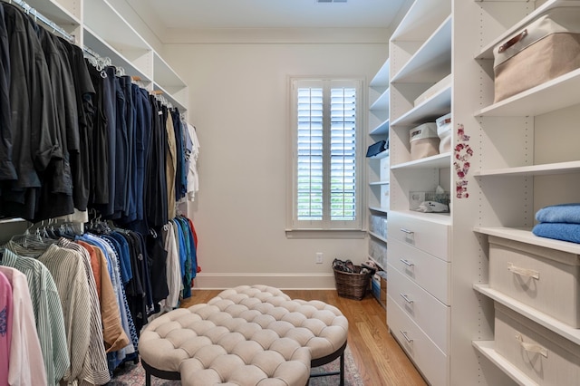 179 Rushing Water Trl, Rising Fawn, GA 30738 - spacious closet featuring light wood finished floors
