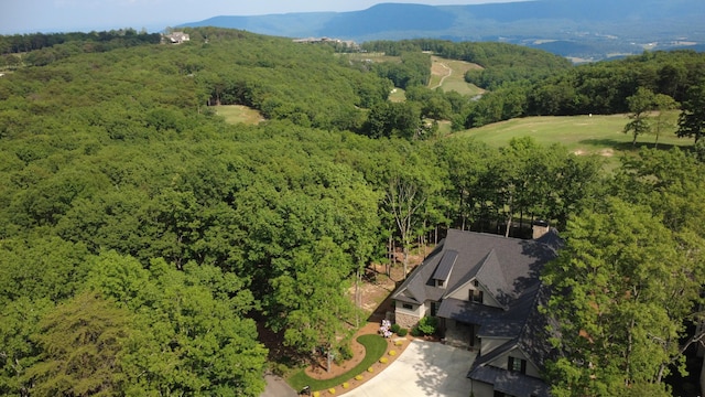 179 Rushing Water Trl, Rising Fawn, GA 30738 - aerial view of property and surrounding area featuring a heavily wooded area and a mountainous background