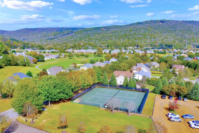 603 Alston Dr, Chattanooga, TN 37419 - photo 21