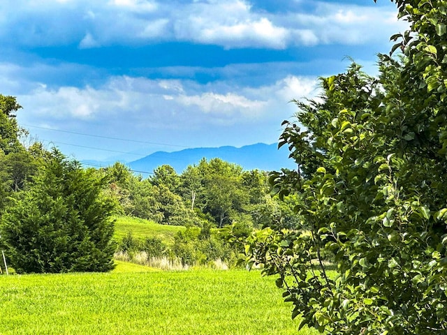 1467 Squire Fox Rd, Dandridge, TN 37725 - mountain view