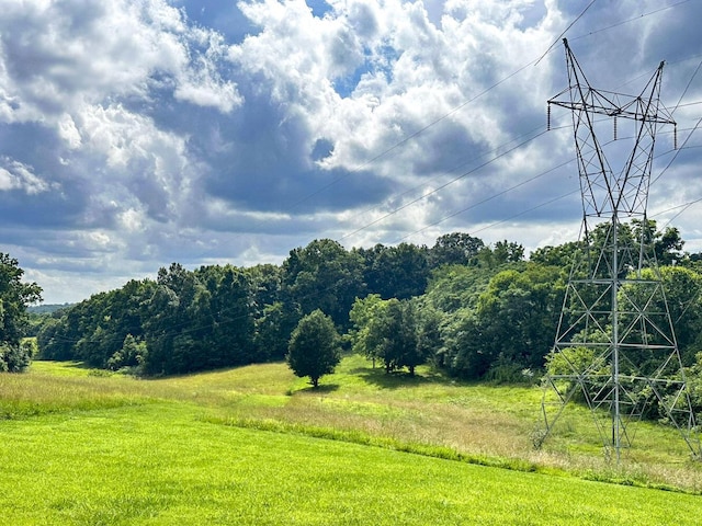 1467 Squire Fox Rd, Dandridge, TN 37725 - view of yard