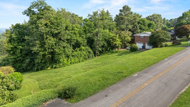 164 S Mission Ridge Dr, Rossville, GA 30741 - photo 3