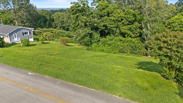 164 S Mission Ridge Dr, Rossville, GA 30741 - photo 1