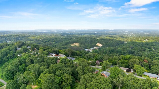 164 S Mission Ridge Dr, Rossville, GA 30741 - photo 11