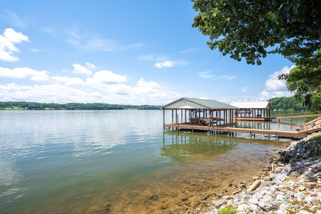 16210 Crestview Dr, Sale Creek, TN 37373 - photo 45