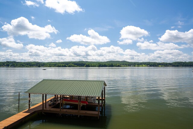 16210 Crestview Dr, Sale Creek, TN 37373 - photo 46
