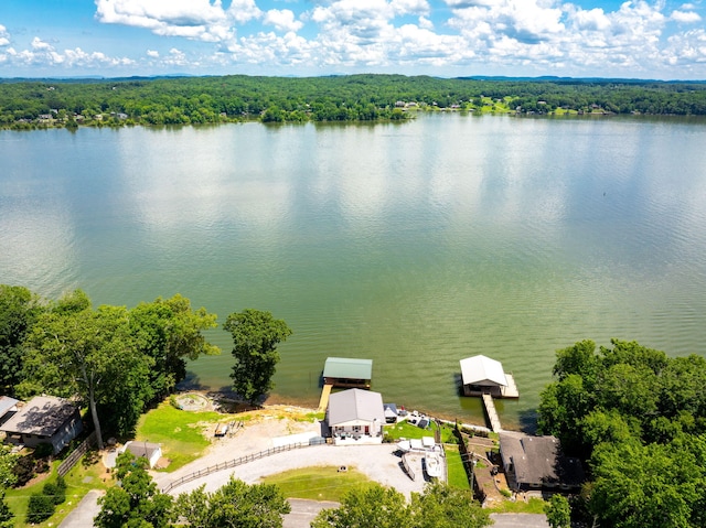 16210 Crestview Dr, Sale Creek, TN 37373 - photo 48