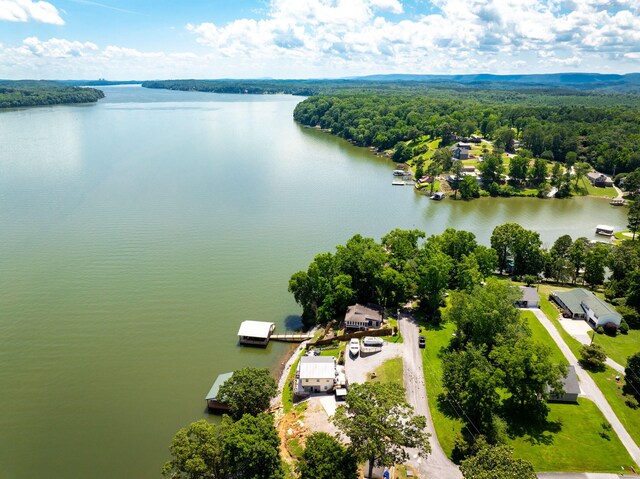 16210 Crestview Dr, Sale Creek, TN 37373 - photo 60