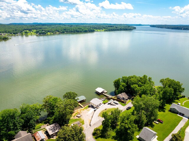 16210 Crestview Dr, Sale Creek, TN 37373 - photo 59