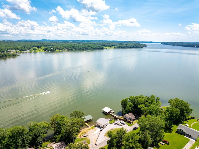 16210 Crestview Dr, Sale Creek, TN 37373 - photo 1