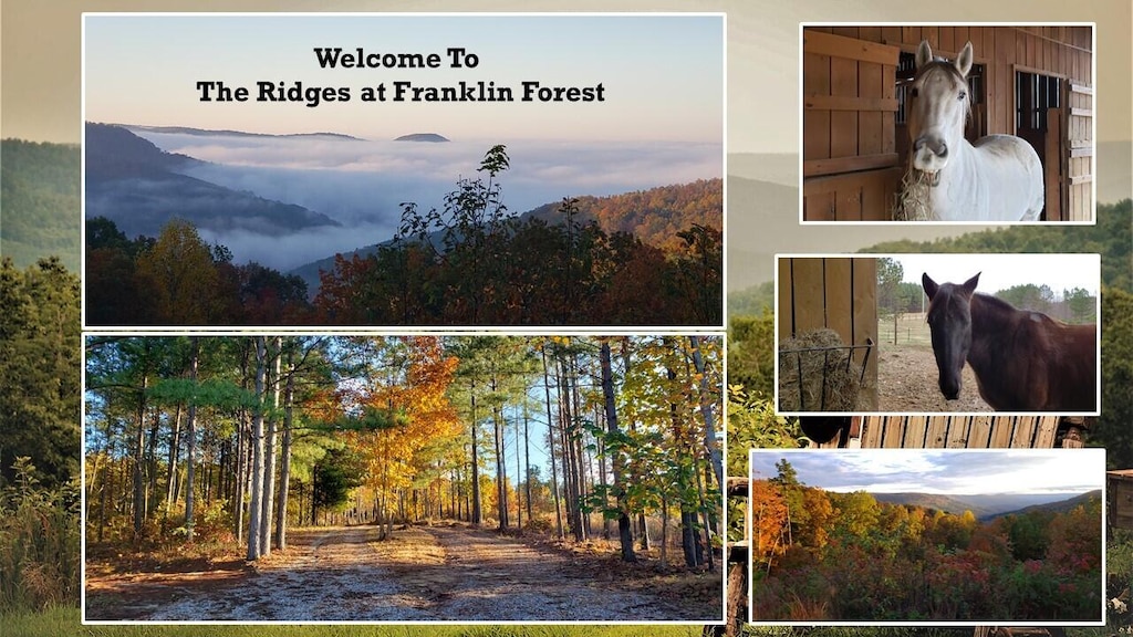 0 Falling Cliff Dr Unit 101, South Pittsburg, TN 37380