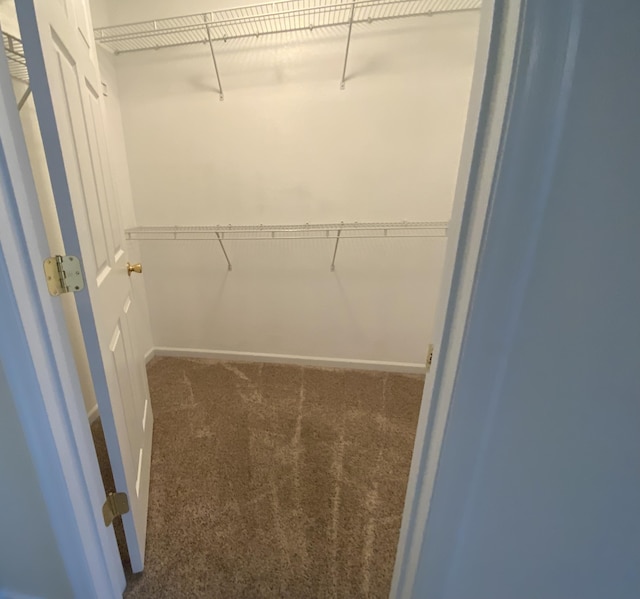 904 Cedar Creek Dr, Rossville, GA 30741 - spacious closet featuring carpet