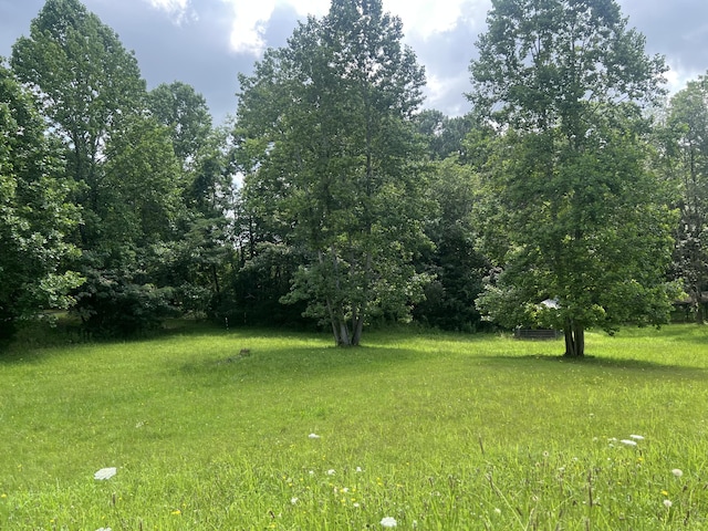 43 Fir St, Chickamauga, GA 30707 - view of grassy yard