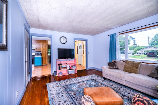 311 Birchwood St, Pikeville, TN 37367 - living area featuring dark wood-style floors