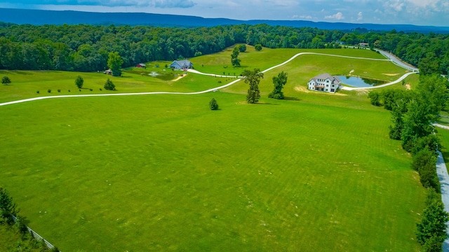 1524 Green Pond Rd, Soddy Daisy, TN 37379 - drone / aerial view of a forest