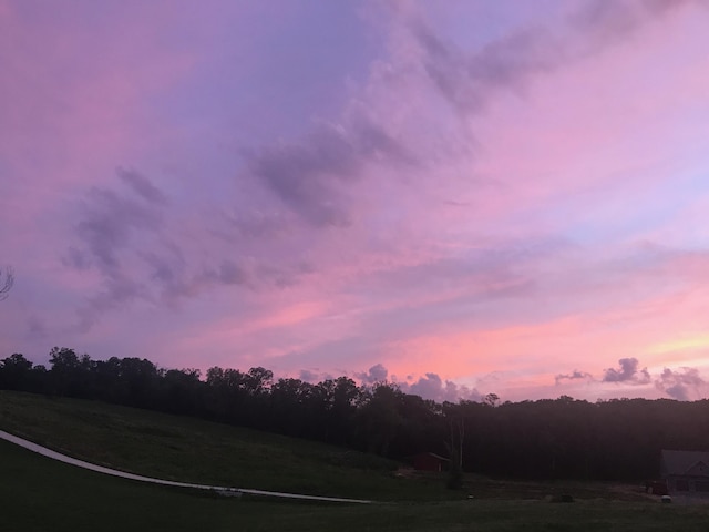 1524 Green Pond Rd, Soddy Daisy, TN 37379 - view of yard at dusk