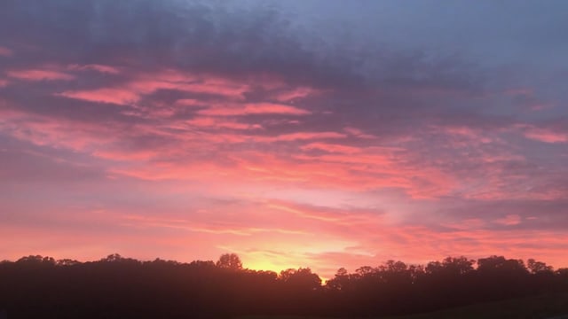 1524 Green Pond Rd, Soddy Daisy, TN 37379 - view of undeveloped land