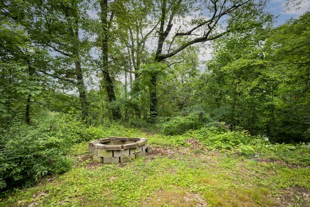 4217 W Rd, Signal Mountain, TN 37377 - view of yard featuring a fire pit