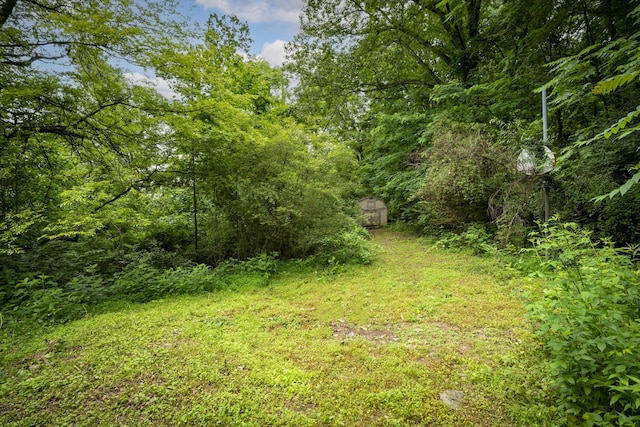 4217 W Rd, Signal Mountain, TN 37377 - view of woods