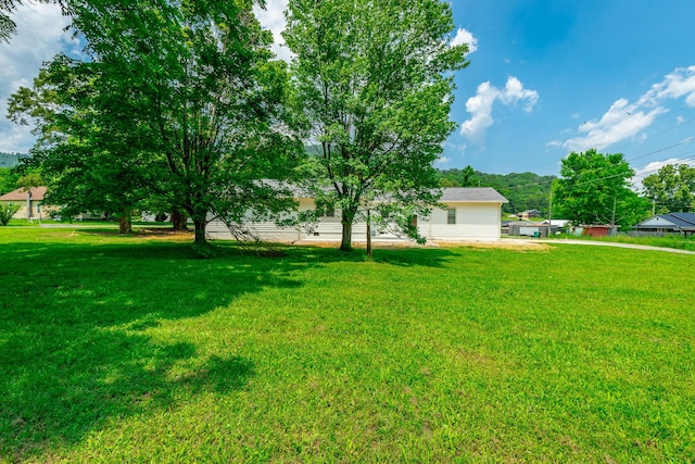 711 2nd St, South Pittsburg, TN 37380 - view of green lawn