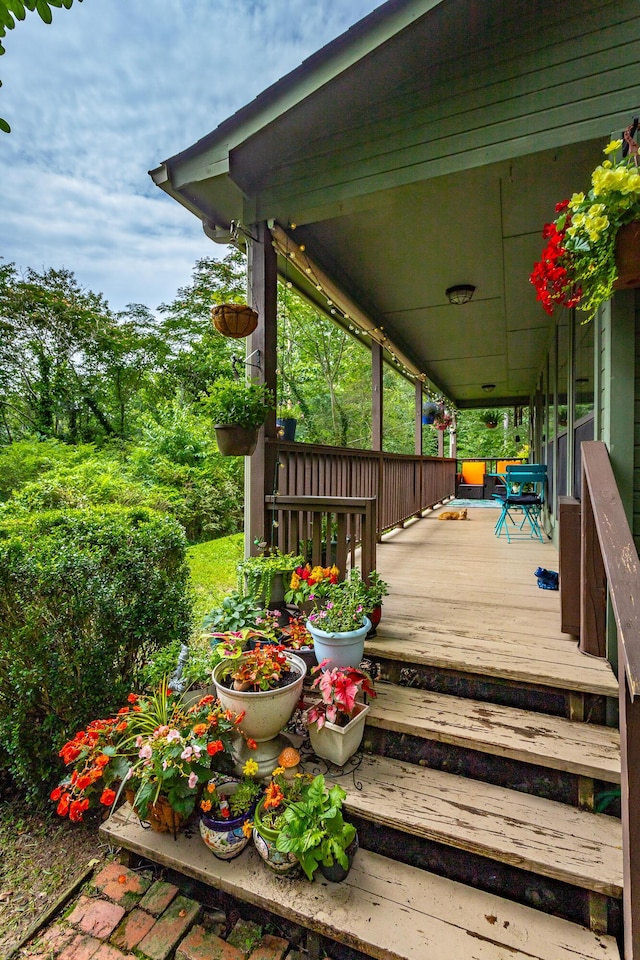 45 Daisy Ln, Flintstone, GA 30725 - photo 2