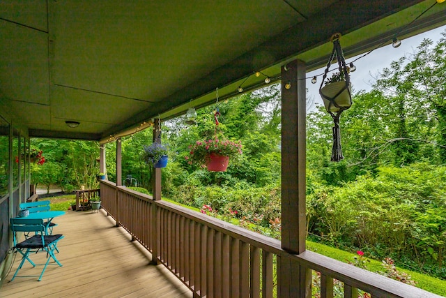 45 Daisy Ln, Flintstone, GA 30725 - photo 4
