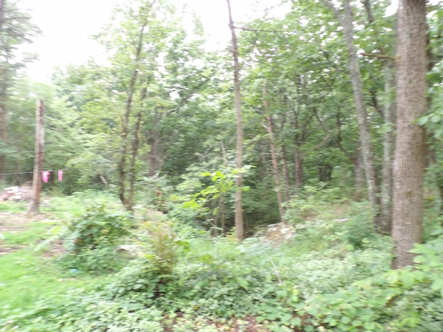 098 Porch Rock Rd, Pikeville, TN 37367