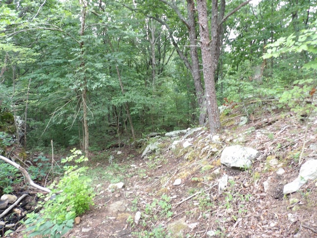 098 Porch Rock Rd, Pikeville, TN 37367