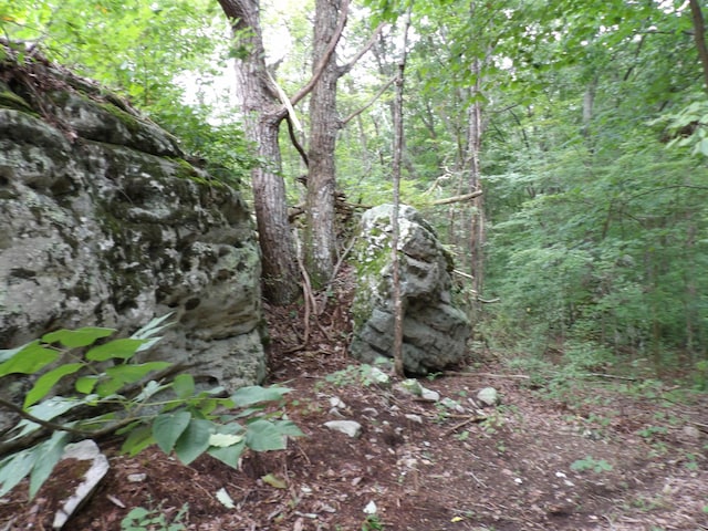 098 Porch Rock Rd, Pikeville, TN 37367